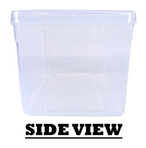 Clear Plastic Transparent Medium Storage Boxes side view