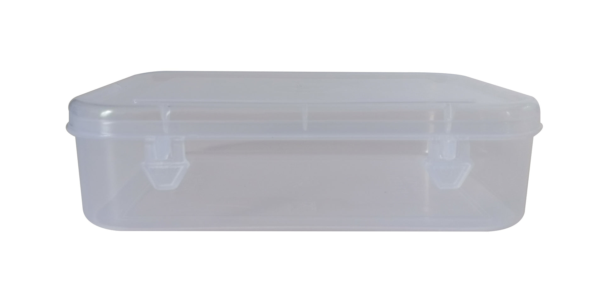 Clear Plastic Medium Storage Boxes front view